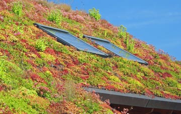 Turbary Common living roof systems