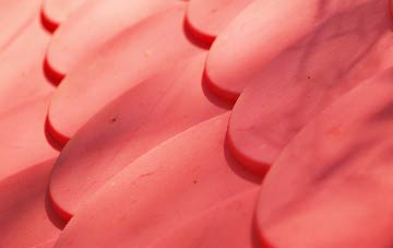 Turbary Common plastic roof costs