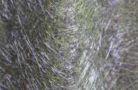 Turbary Common fibreglass roof work