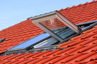 Turbary Common roof window